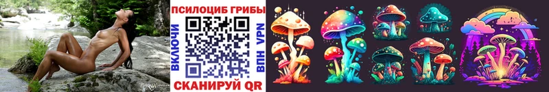 kraken ТОР  Дудинка  Псилоцибиновые грибы Psilocybine cubensis  сколько стоит 